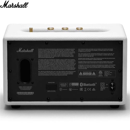 Loa Marshall Action II 5